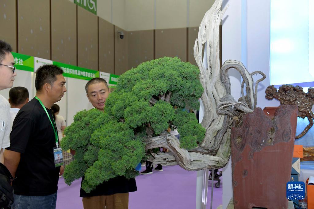 vnsc威尼斯城线上存款